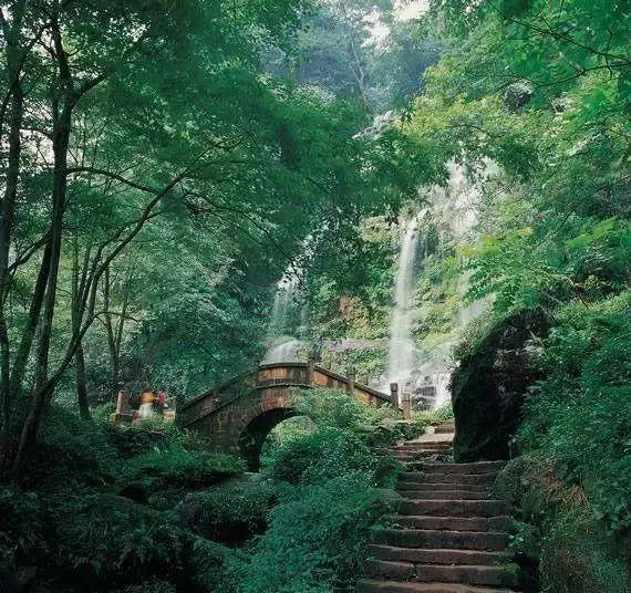 贵州省人大代表罗永慧：提高设施设备配套水平 推进现代山地特色高效农业发展