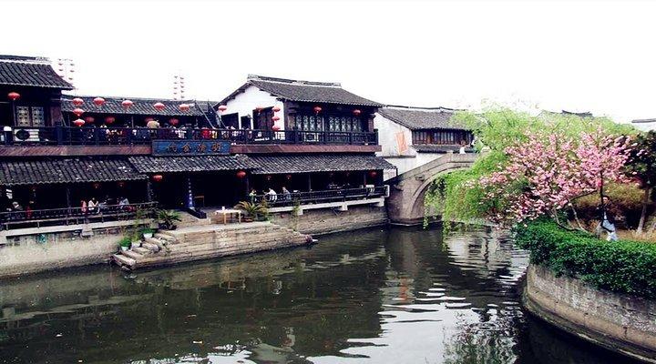 春雨直播app